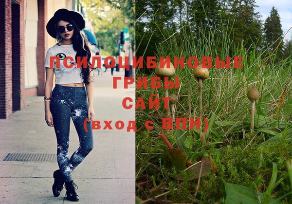 ешки Богородицк